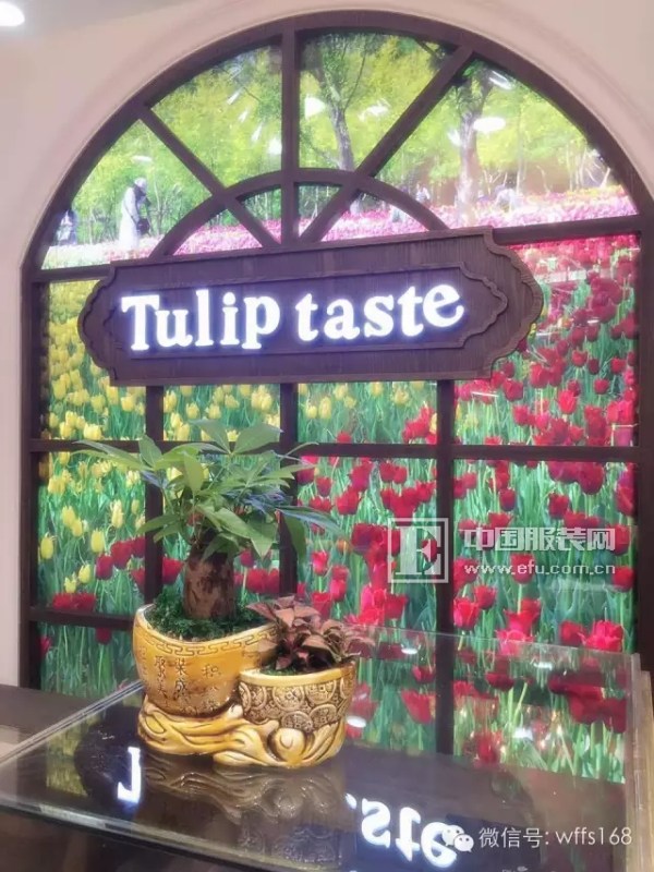 Tulip taste郁香菲